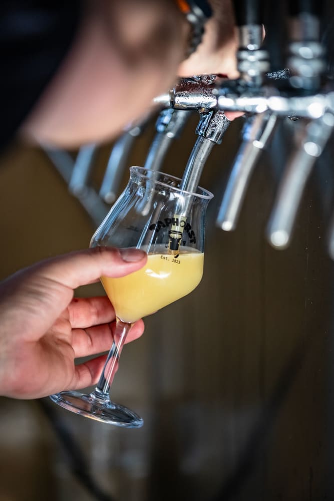 Bezoekers en sfeer tijdens Taphorst '26