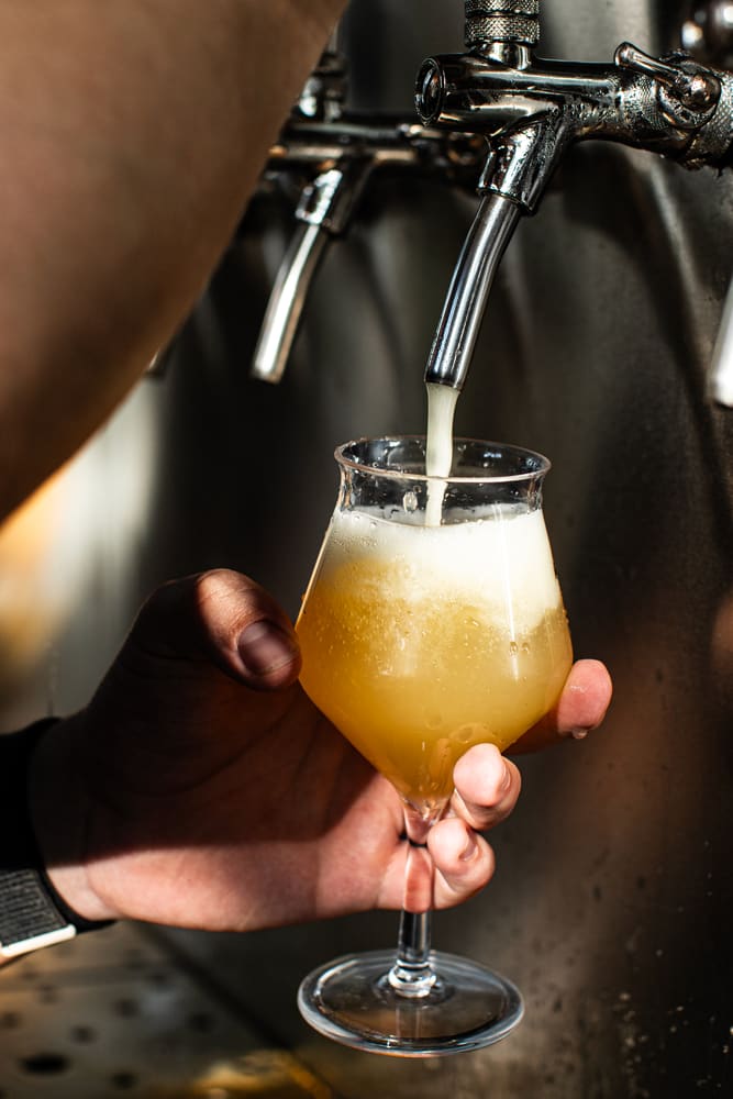Bezoekers en sfeer tijdens Taphorst '26